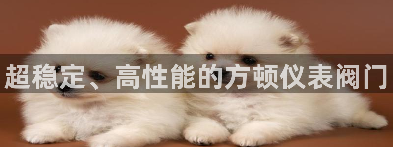 顺盈娱乐下载安装手机版