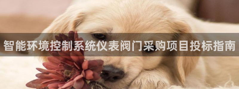 清远顺盈娱乐集团怎么样