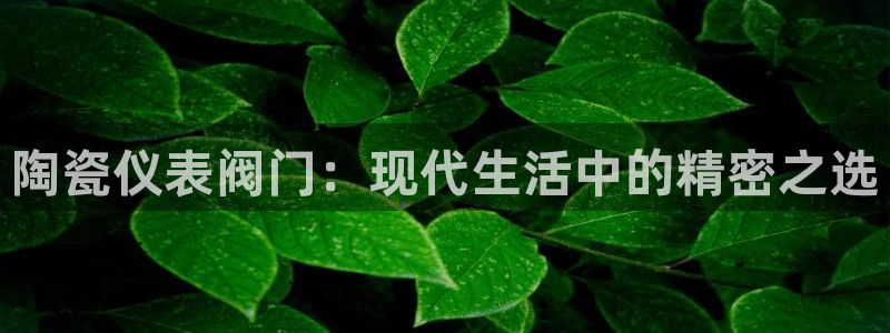 顺盈娱乐下载安装最新版