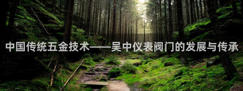 顺盈娱乐招商下原判官333OO