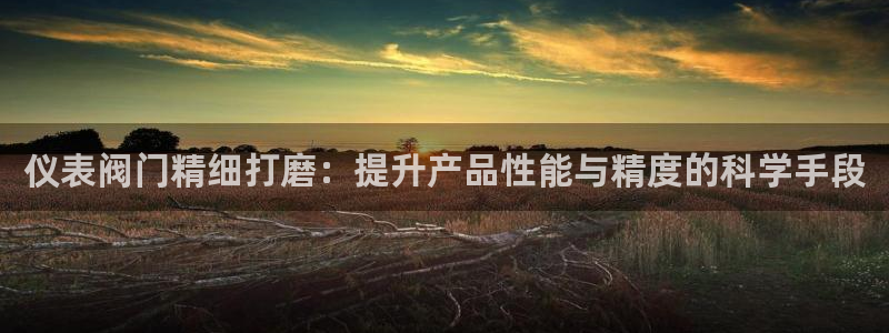 顺盈娱乐28是什么