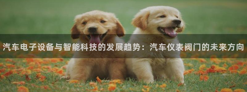 顺盈娱乐怎么样