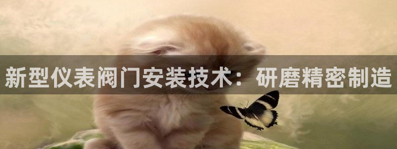 顺盈娱乐28是什么意思