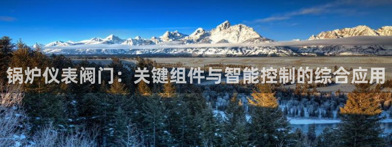 顺盈娱乐下载手机版