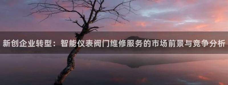 顺盈娱乐棋牌官网