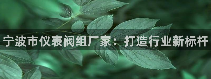 顺盈2娱乐找qv382223