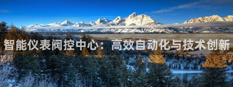 顺盈娱乐主管是谁