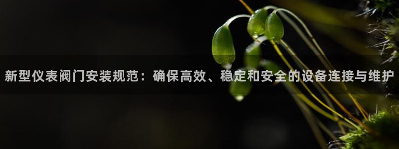 顺盈娱乐在线注册账号