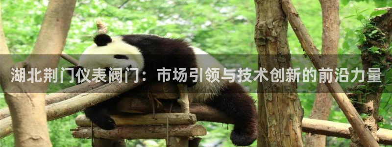 顺盈娱乐下载最新版