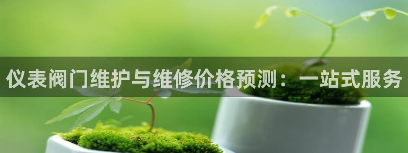 顺盈娱乐注册九判官333OO