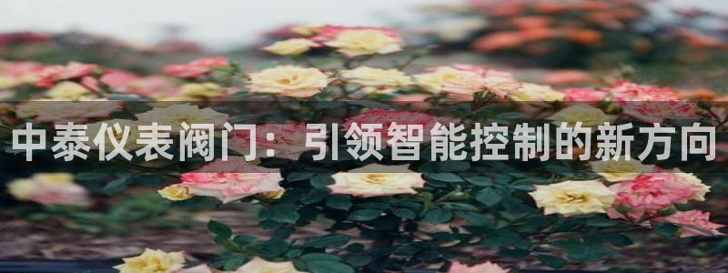 顺盈2娱乐注册问一问