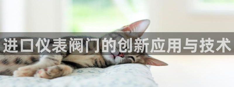 顺盈娱乐招商网判官333OO