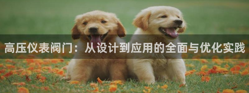 顺盈娱乐平台会黑人吗