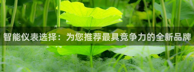 顺盈娱乐西班牙28房