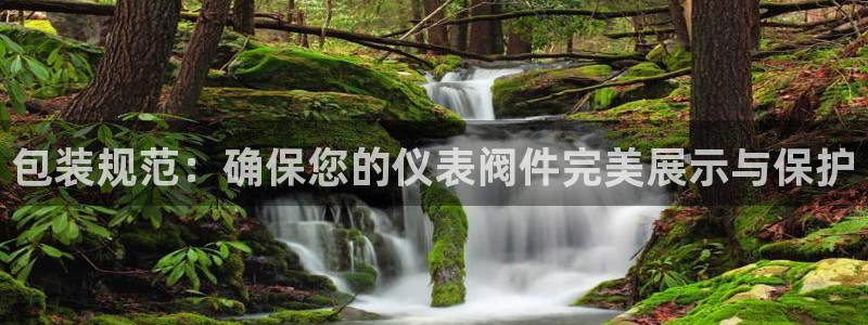 顺盈娱乐平台登录