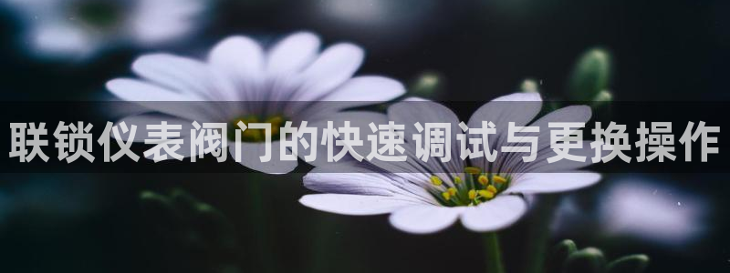 顺盈娱乐下载官网最新版