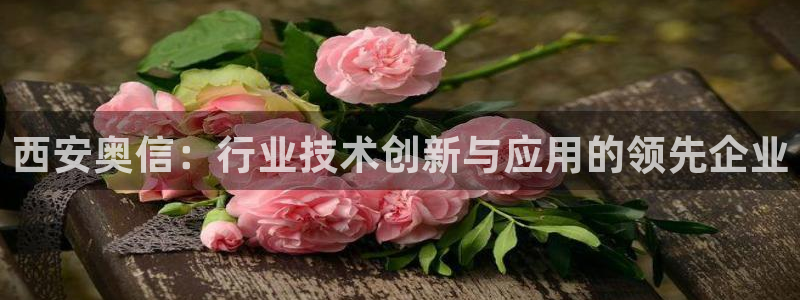 顺盈娱乐注册登录地址