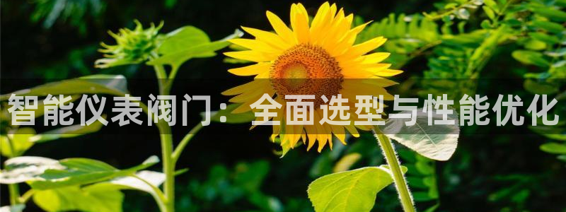 顺盈娱乐彩票怎么样