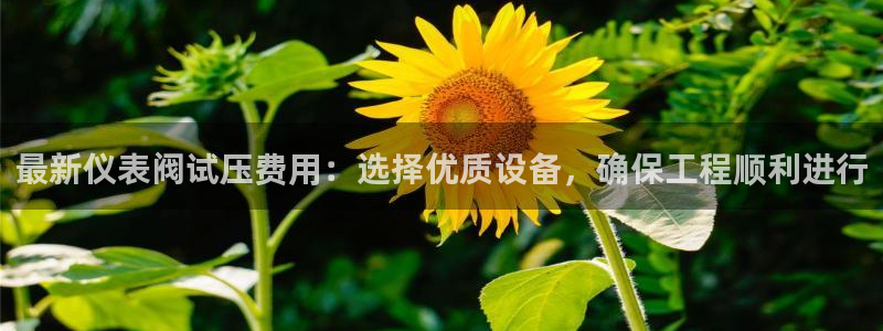 顺盈娱乐是天系列平台