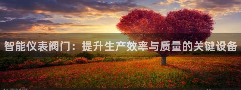 顺盈娱乐28是什么?