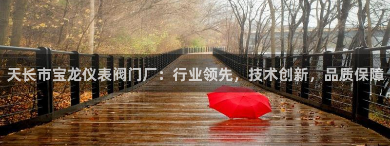 顺盈娱乐下载手机版官网