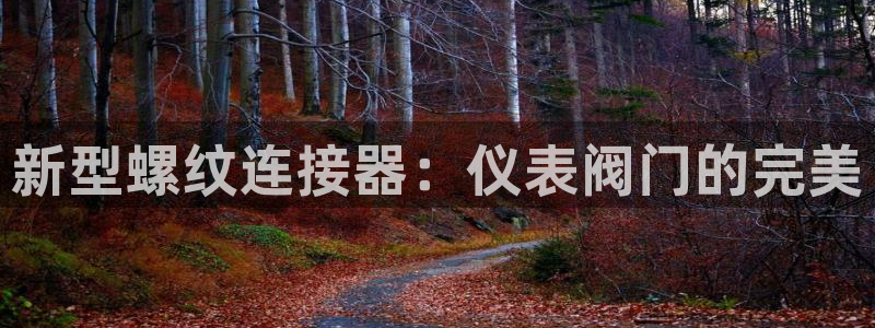 顺盈娱乐公司介绍