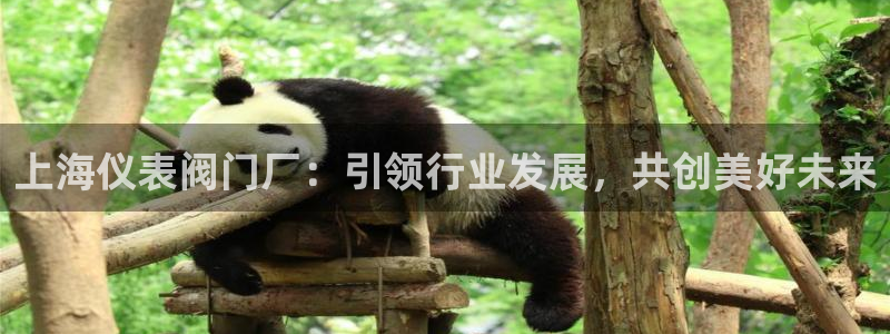 顺盈娱乐认究7276O