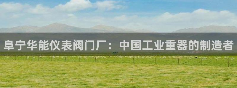 顺盈娱乐过拔7276O