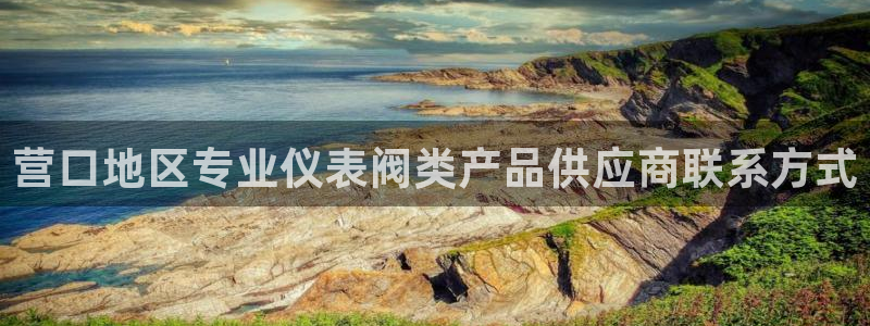 顺盈娱乐招商网判官333OO