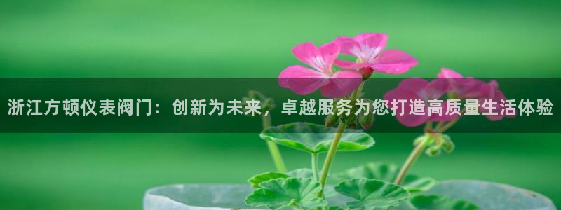 顺盈娱乐平台下载安装