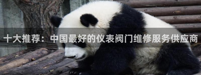 顺盈平台娱乐怎么样