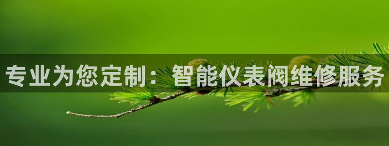 清远顺盈娱乐集团地址