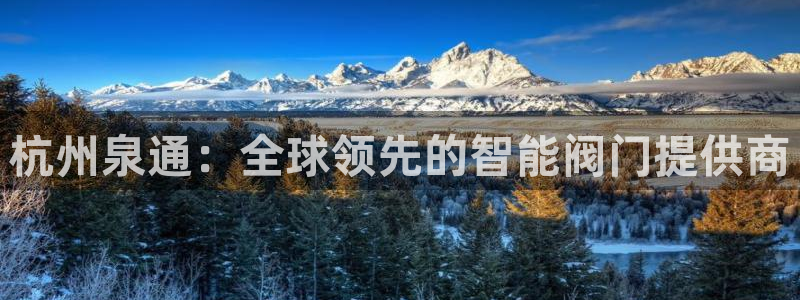 顺盈娱乐注册求判官333OO