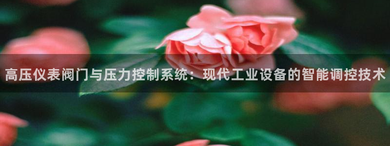 清远顺盈娱乐文案