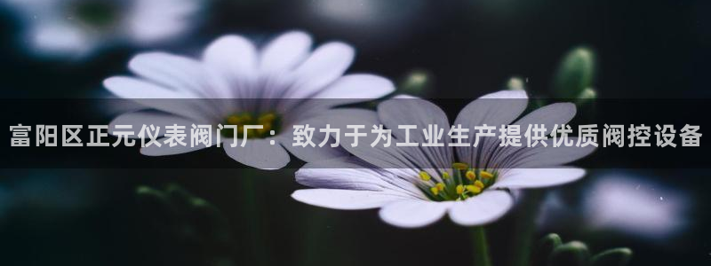 顺盈娱乐游戏开发商