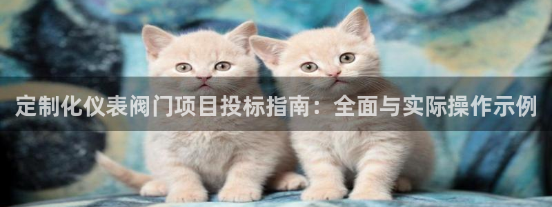 顺盈娱乐招商前原判官333OO