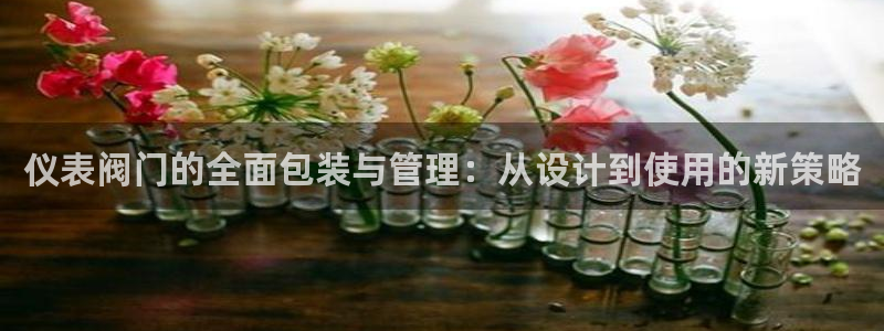 顺盈娱乐最高代理人