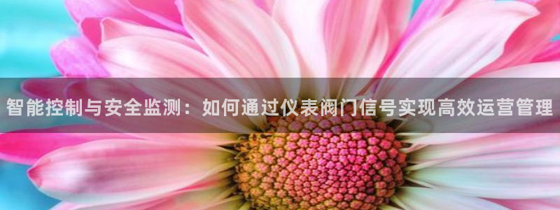 顺盈娱乐下载手机版官网