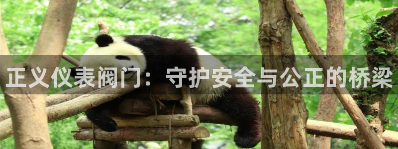 顺盈娱乐在线注册