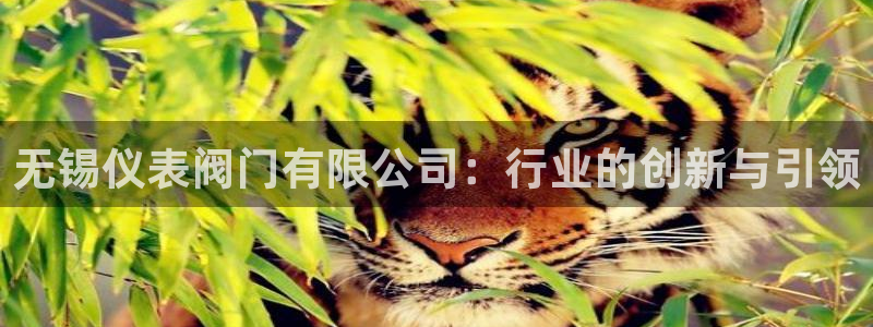 顺盈2娱乐登录平台