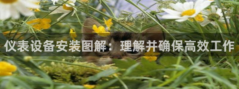 顺盈娱乐最高代理是谁