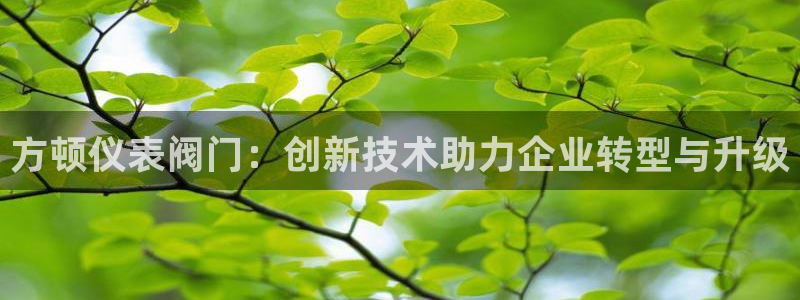 盈顺休闲娱乐室团购