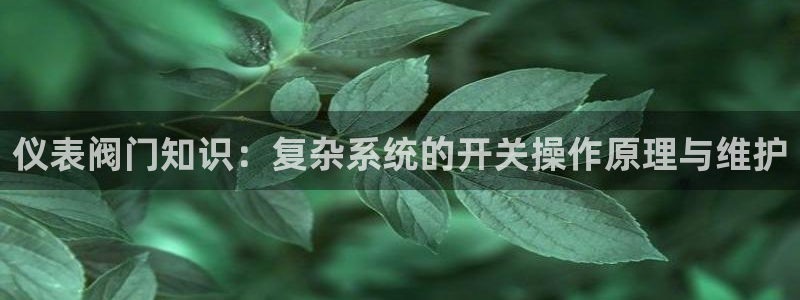 顺盈娱乐彩票怎么样啊