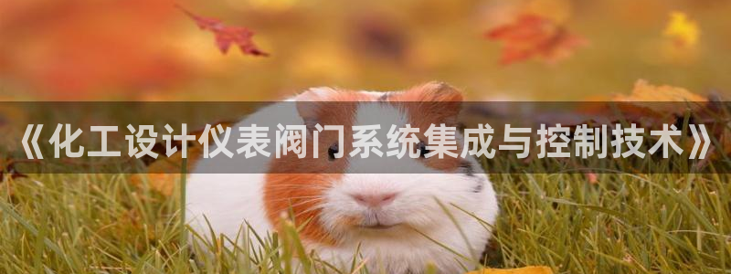 清远顺盈娱乐公司