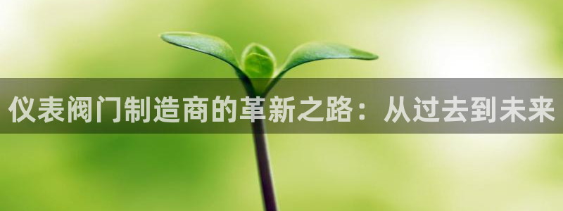顺盈娱乐主管欲新判官333OO