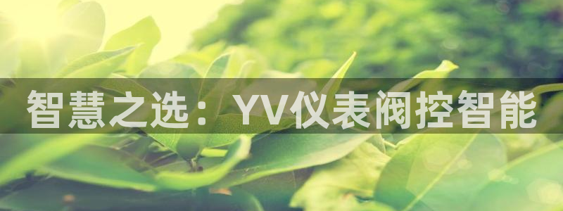 顺盈娱乐注册平台