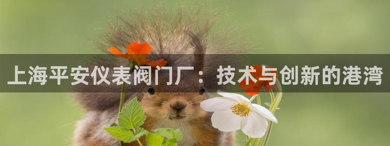 顺盈娱乐主管劳判官333OO