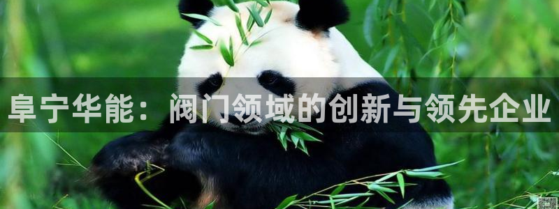 顺盈儿童娱乐