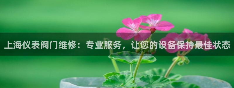 乐摇摇娱乐团购顺盈