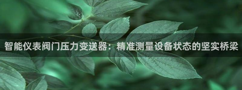 顺盈娱乐是什么